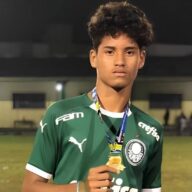 image para ilustrar o artigo