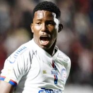 image para ilustrar o artigo