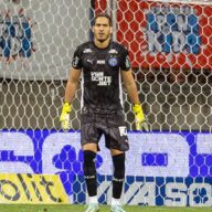 image para ilustrar o artigo