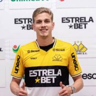 image para ilustrar o artigo