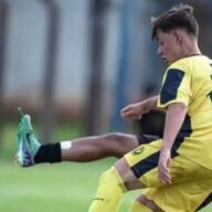 image para ilustrar o artigo