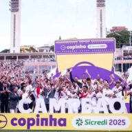 image para ilustrar o artigo