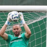 image para ilustrar o artigo