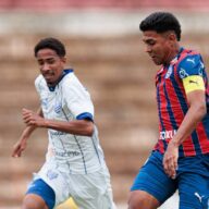 image para ilustrar o artigo