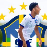 image para ilustrar o artigo