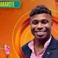 image para ilustrar o artigo