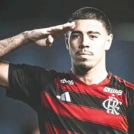 image para ilustrar o artigo