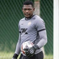 image para ilustrar o artigo