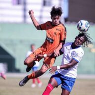 image para ilustrar o artigo