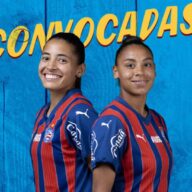 image para ilustrar o artigo