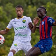 image para ilustrar o artigo