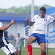 image para ilustrar o artigo