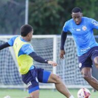 image para ilustrar o artigo