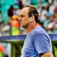 image para ilustrar o artigo