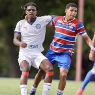 image para ilustrar o artigo