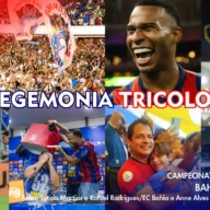 image para ilustrar o artigo