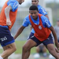 image para ilustrar o artigo