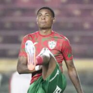 image para ilustrar o artigo