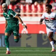 image para ilustrar o artigo