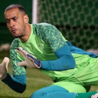 image para ilustrar o artigo