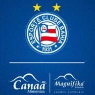 image para ilustrar o artigo