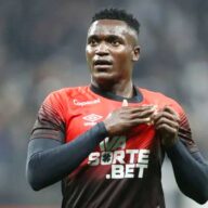 image para ilustrar o artigo