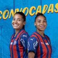 image para ilustrar o artigo