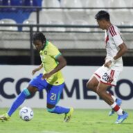 image para ilustrar o artigo