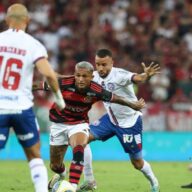 image para ilustrar o artigo