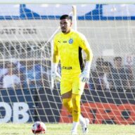 image para ilustrar o artigo