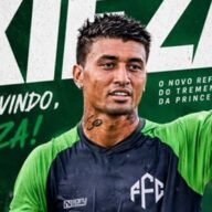 image para ilustrar o artigo